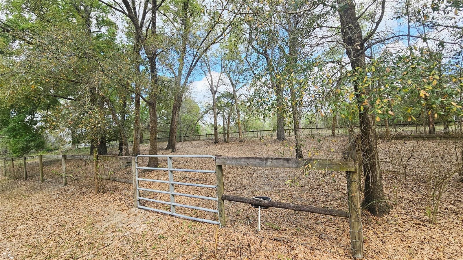 5 Fenced Acres in Dade City Equestrian Community
