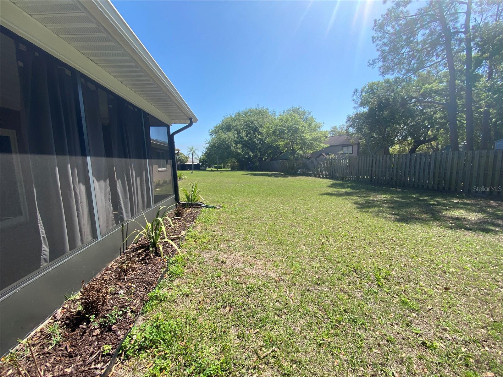 Back Yard from left side