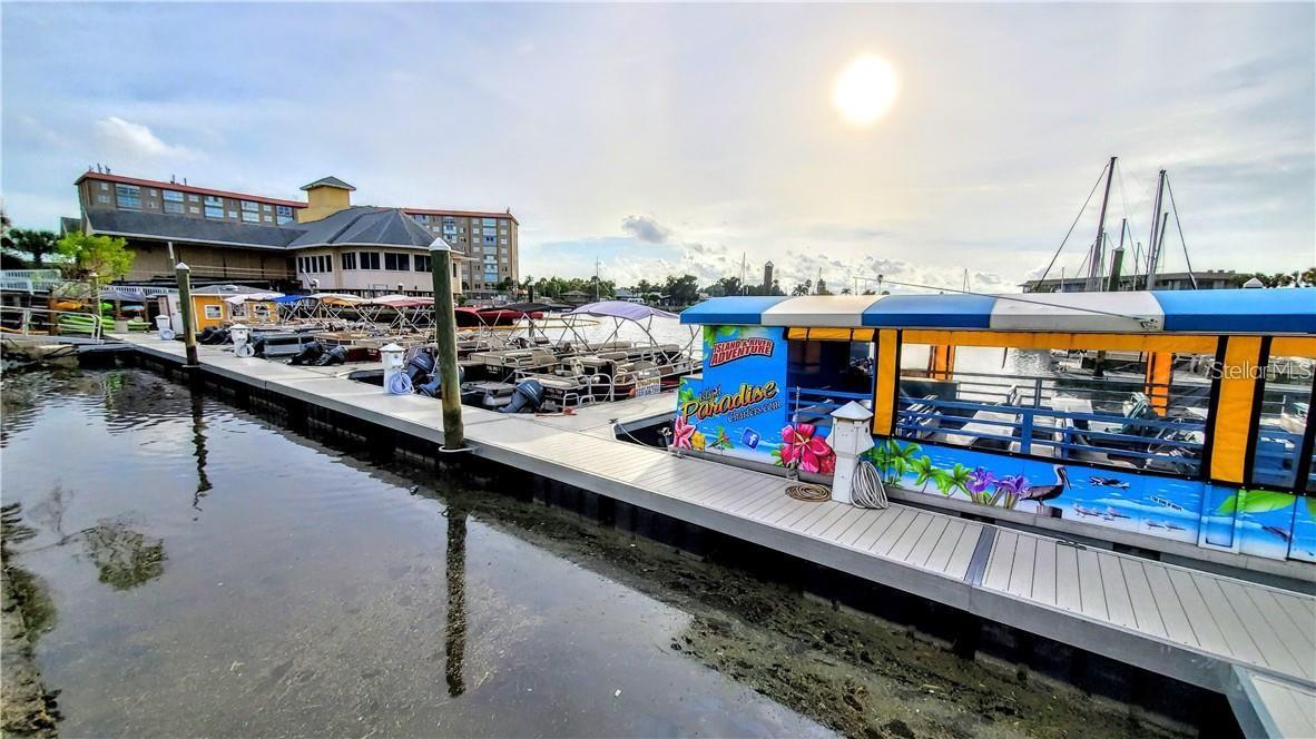 NEW PORT RICHEY CHARTER