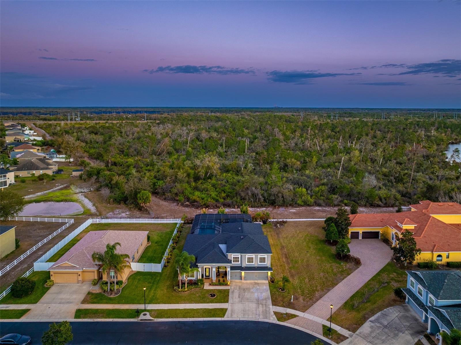 Conservation View: High-angle aerial view of the expansive backyard bordering a private conservation area with no rear neighbors for ultimate peace and privacy.