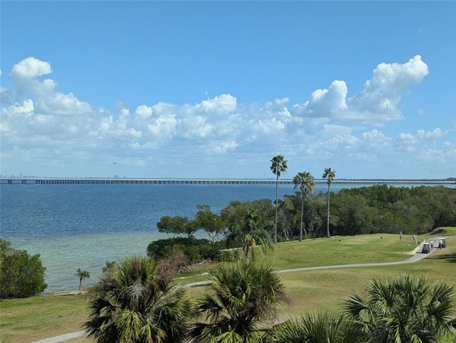 16th Hole and Tampa Bay Water view from your windows!!