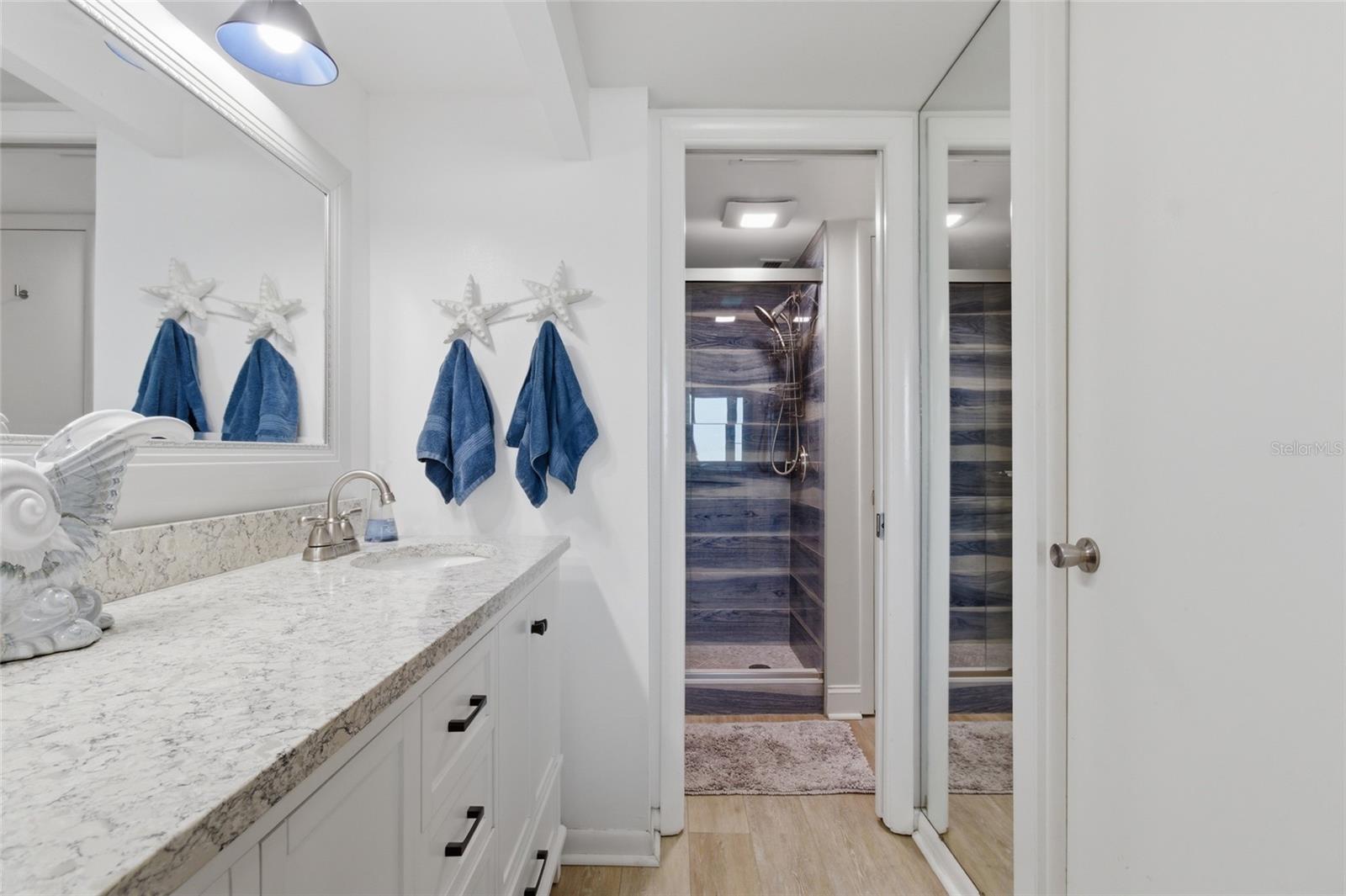 Primary Ensuite Bath and walk-in closet