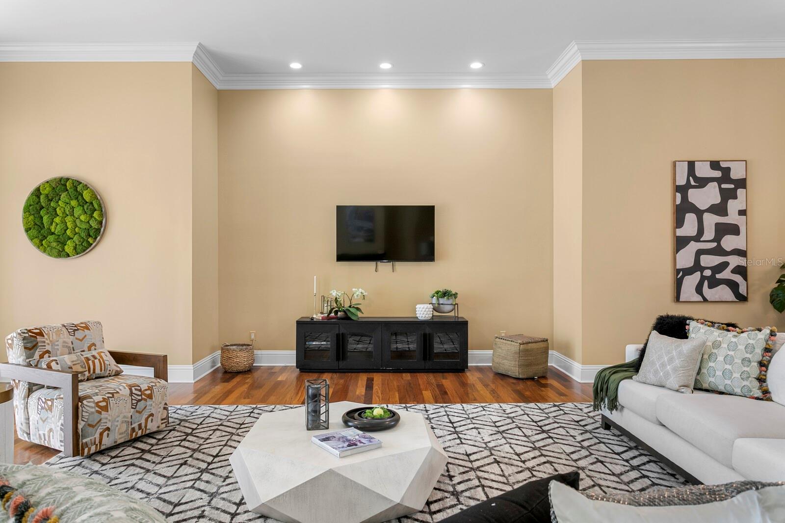 Entertainment Wall in FR