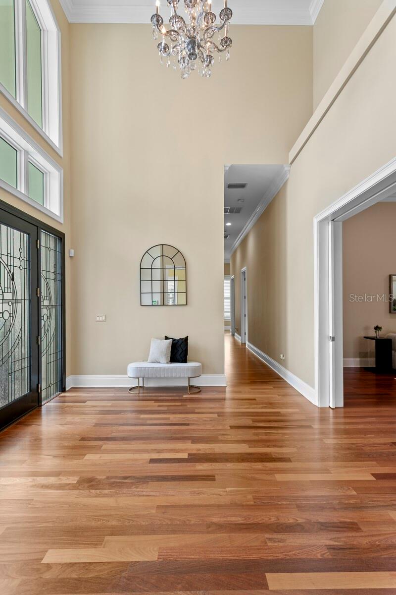 Foyer 20' Ceilings