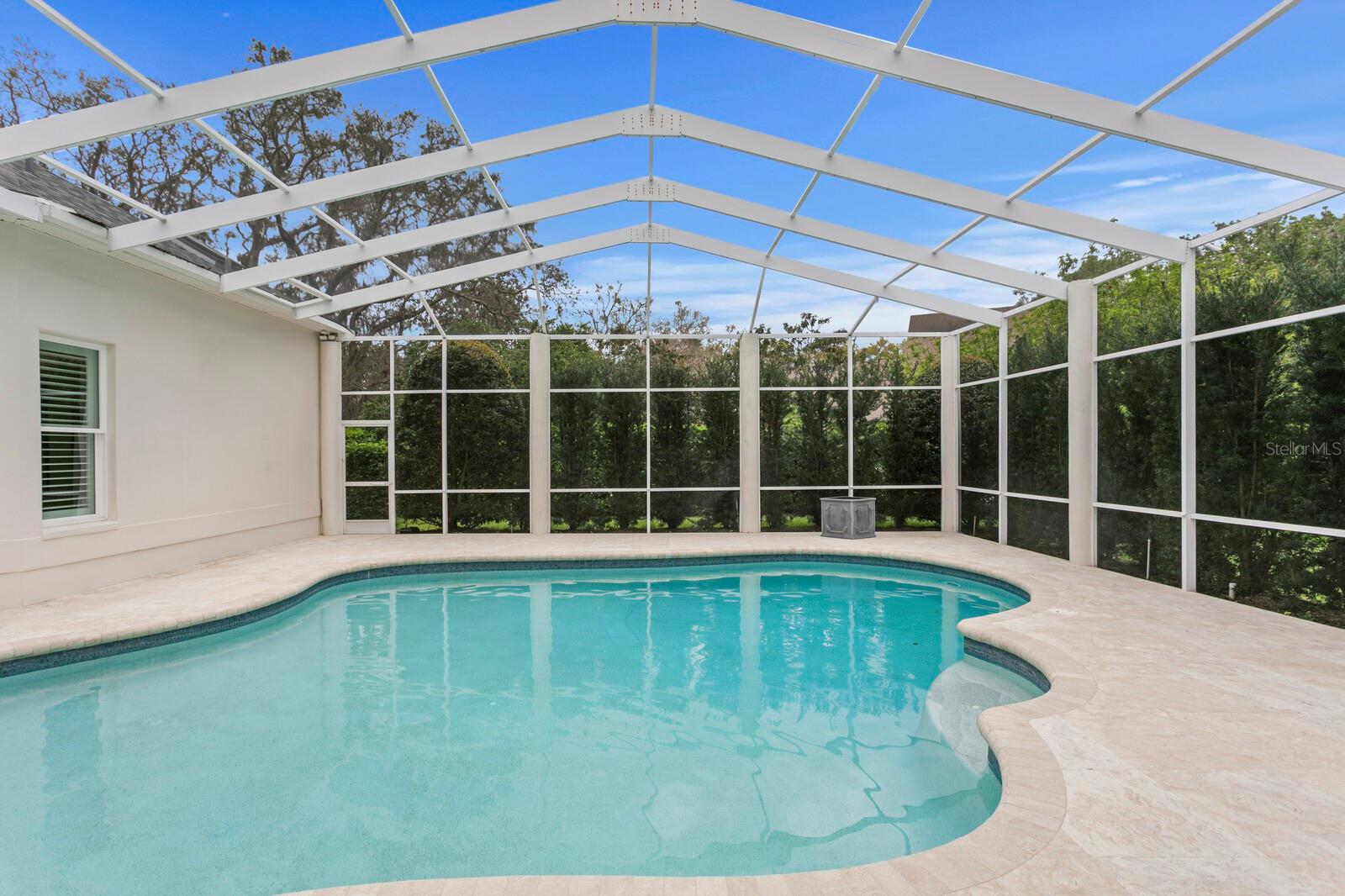 Free Form Heated Pool and Spa