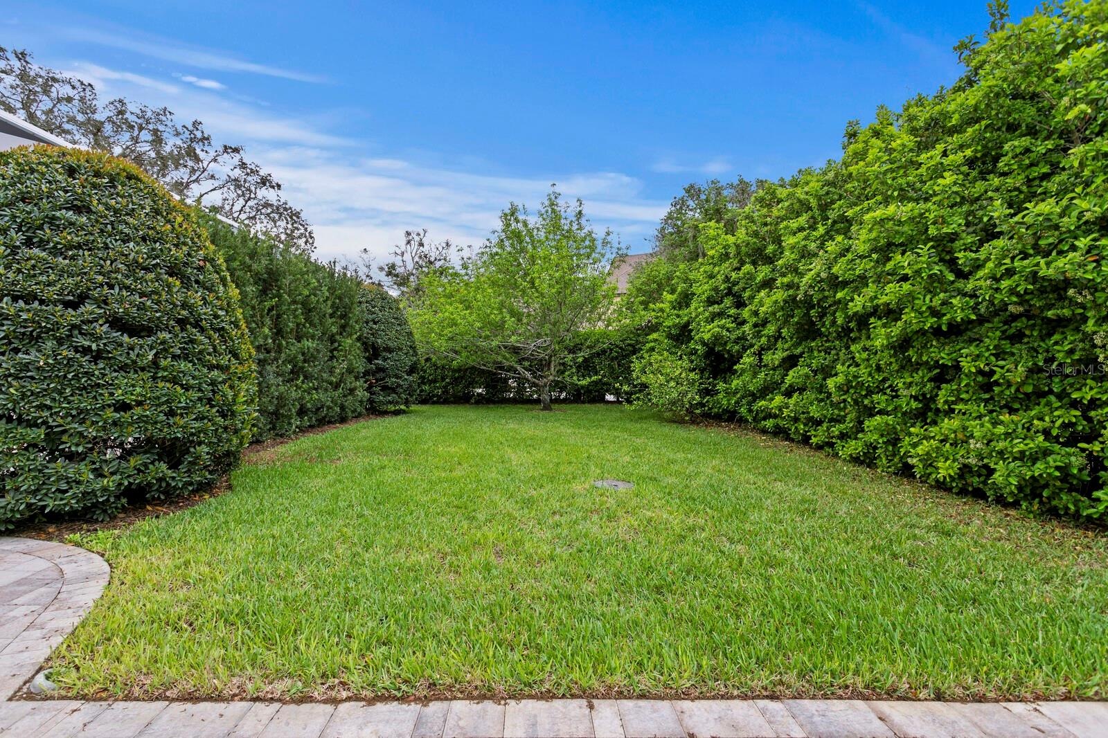 Large Private Back Yard