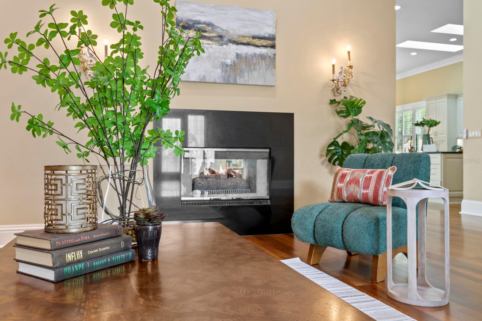 Double Gas Fireplace