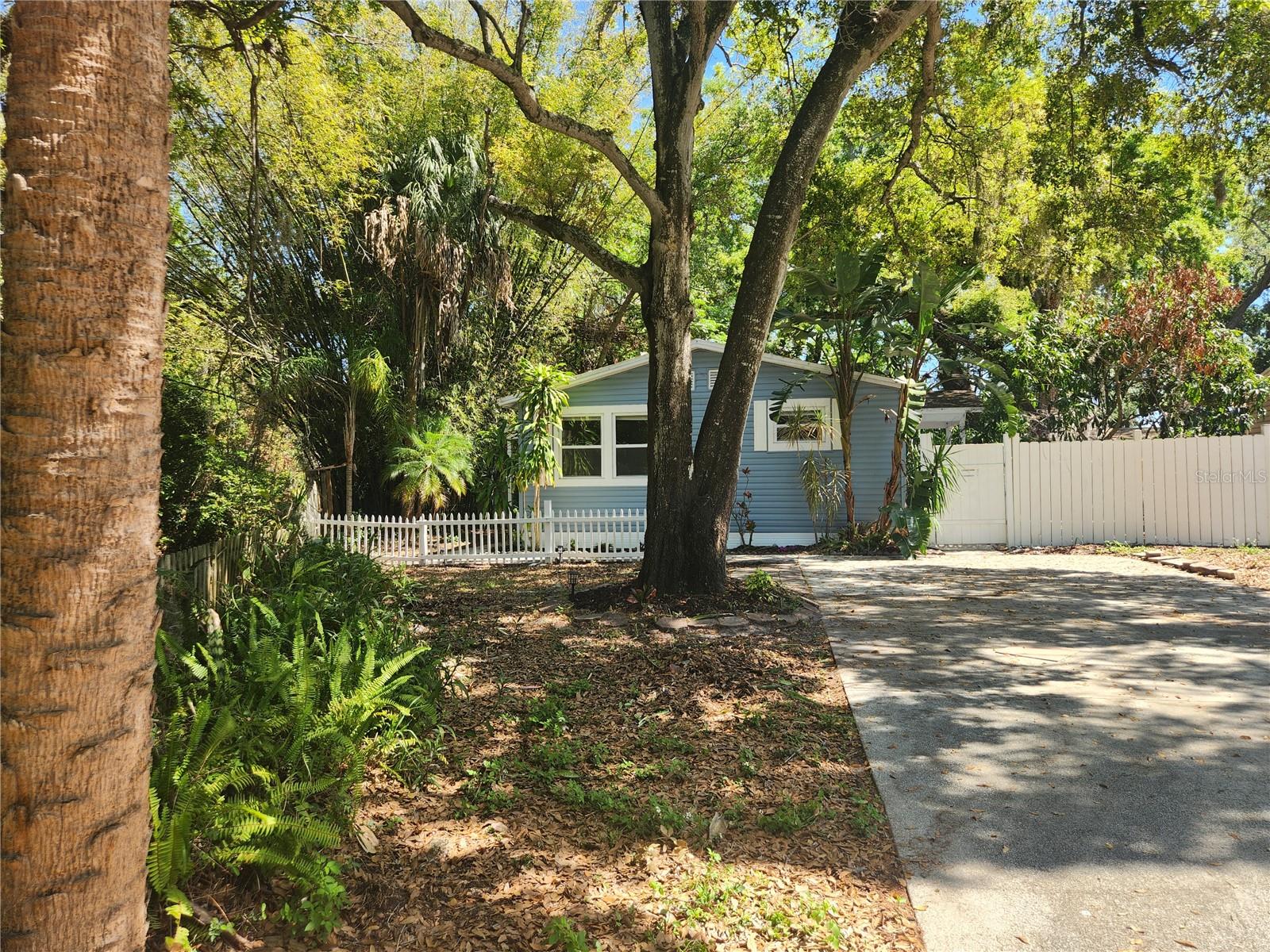 Location! Location! Walk to Downtown Safety Harbor for events, restaurants, shopping & more!! Located on a dead end street. Private location next to a creek. NO FLOOD INS.