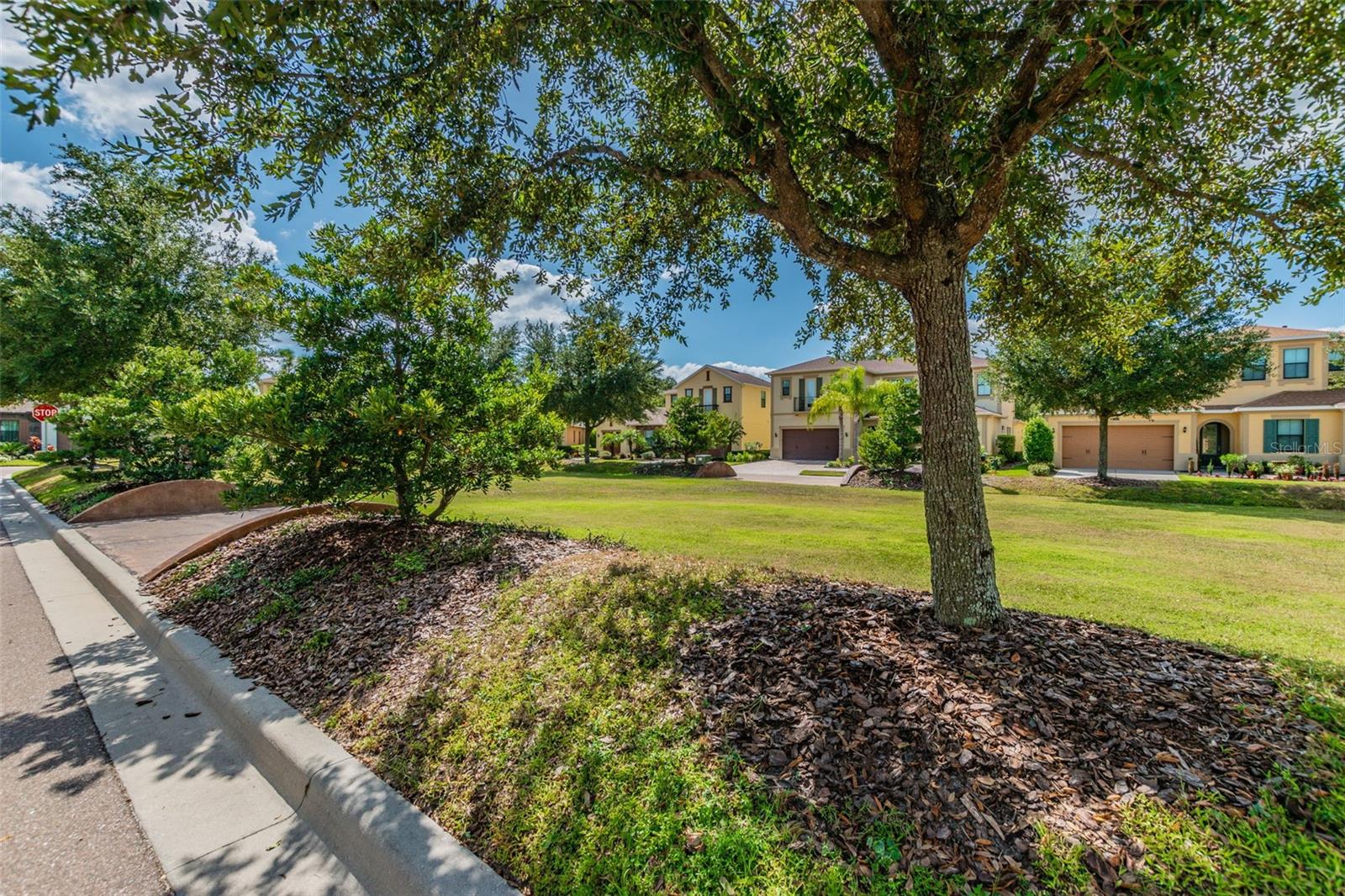 Neighborhood playing field