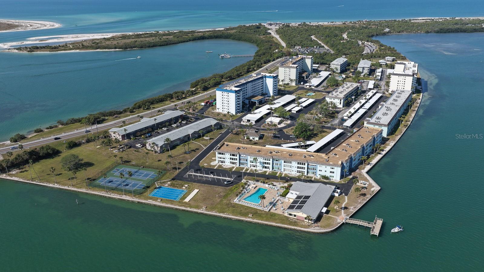 Minutes from the entrance to Honeymoon Island State Park
