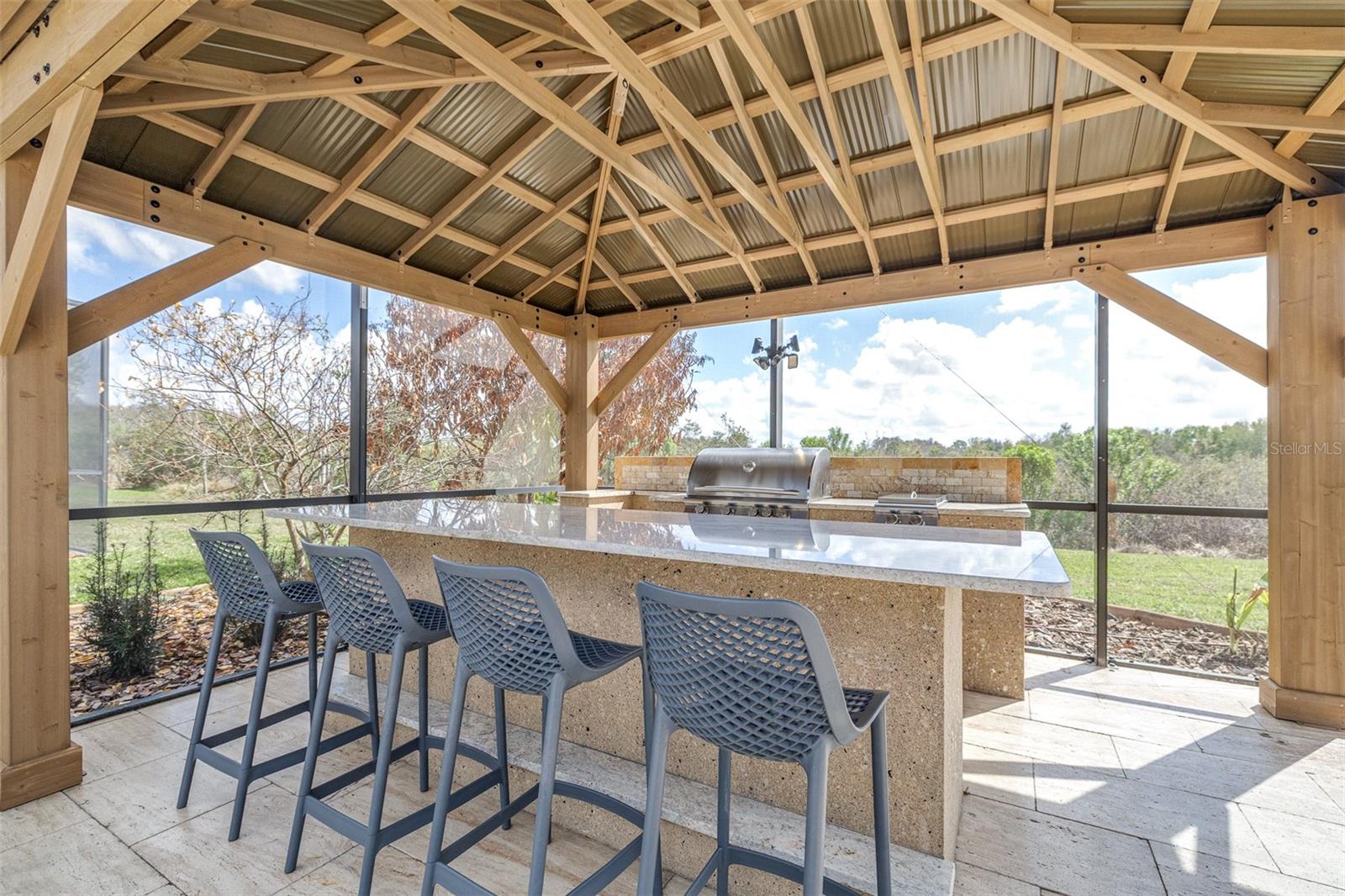 Built-in Outdoor Kitchen with Brand New Pergola