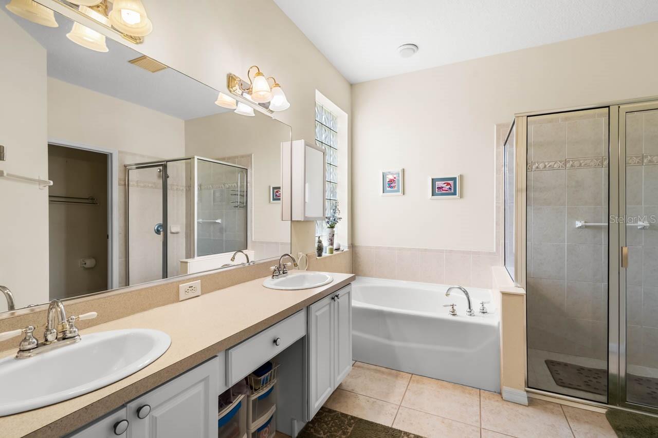 Dual Sinks, Tin, and Shower