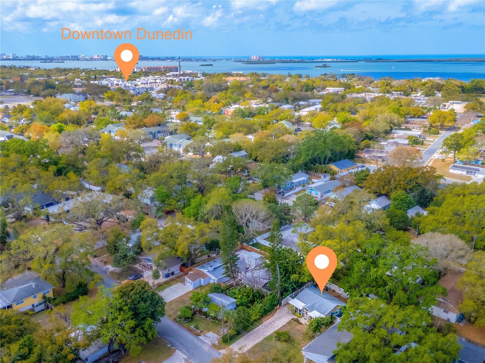 Orange Ave - Pin Location to Downtown Dunedin