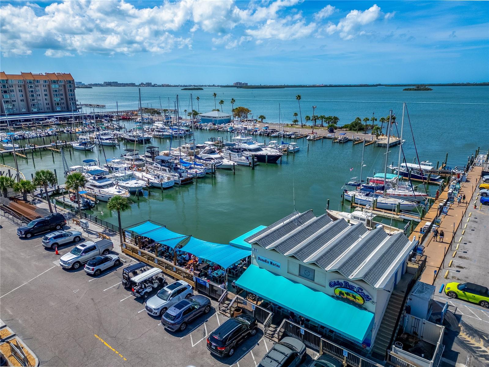 Dunedin Marina at Edgewater Park - Communty Photo