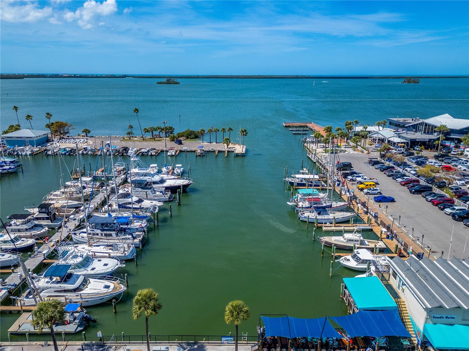 Dunedin Marina at Edgewater Park - Communty Photo