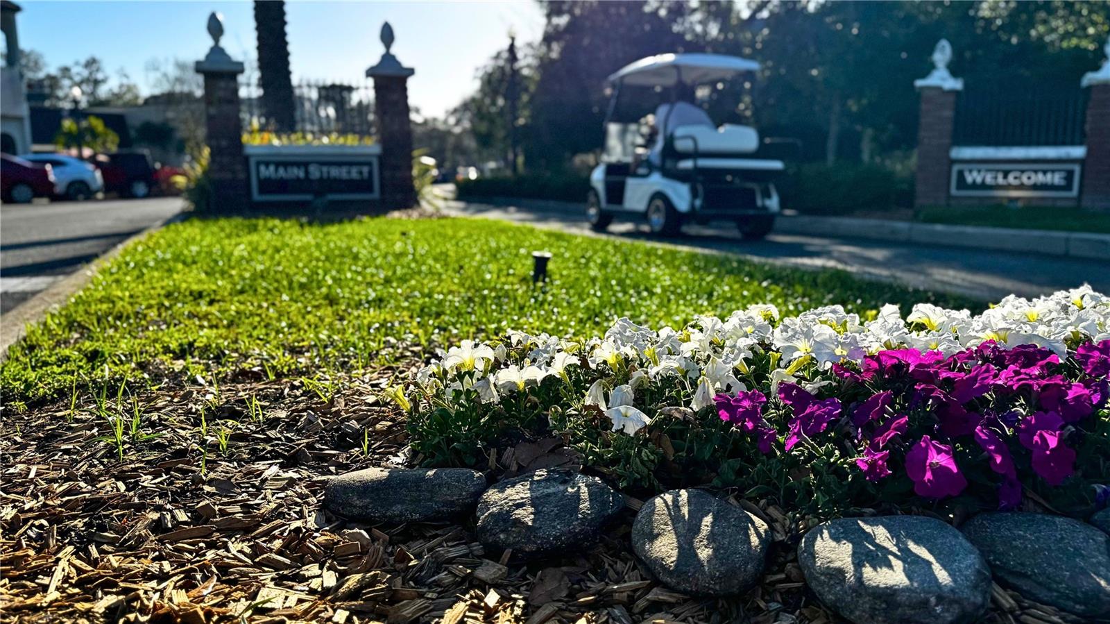 Mainstreet Dunedin - Golf Cart Community Photo
