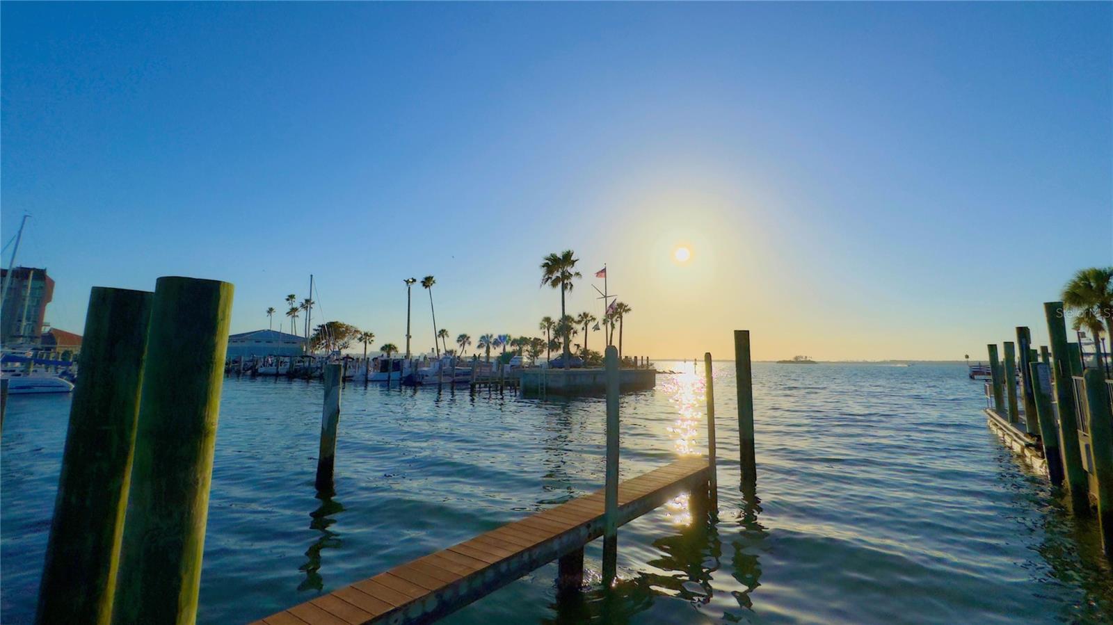 Dunedin Marina - Community Photo