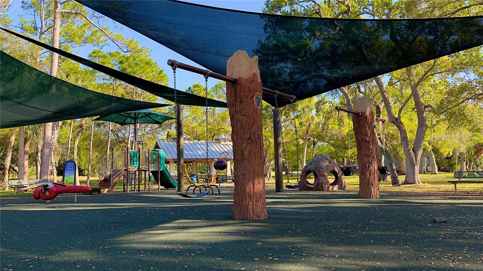 Dunedin Youth Playground Swing - Community Photo