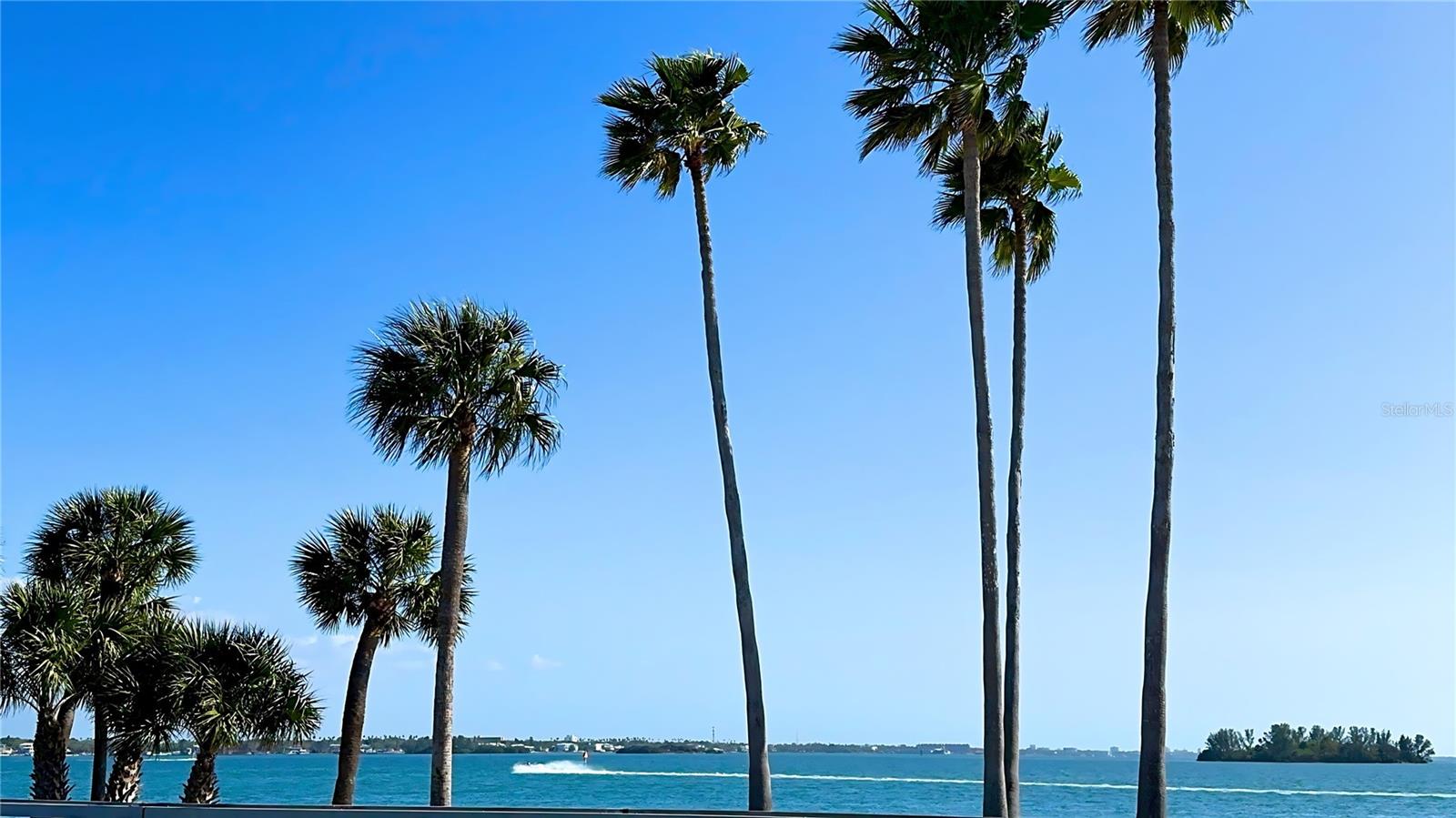 Dunedin Causeway - Community Photo