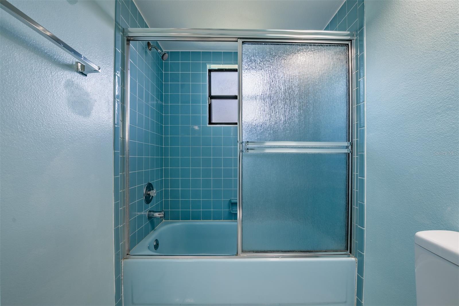 Master Bathroom Shower/Tub