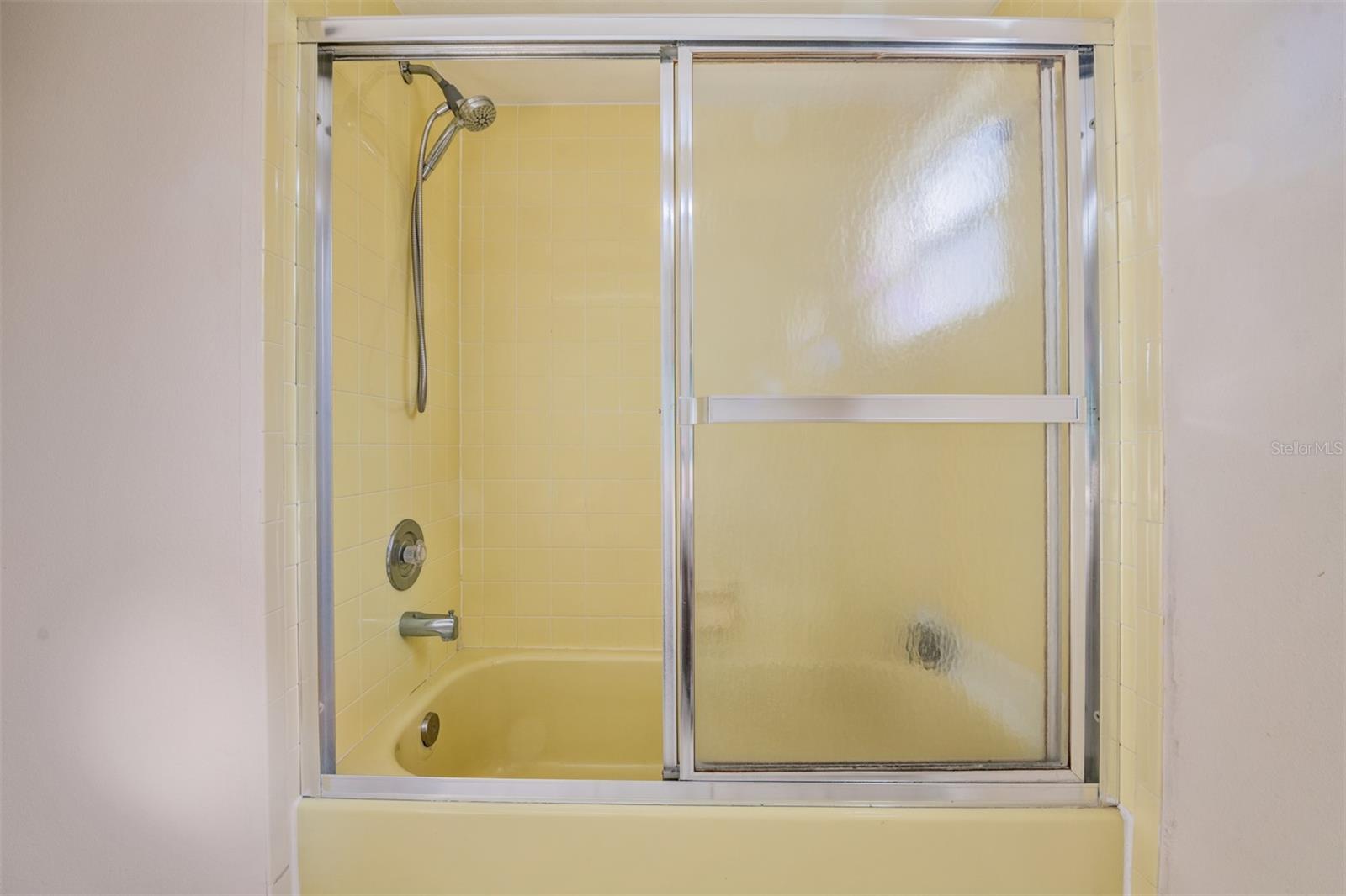 Guest shower and tub.