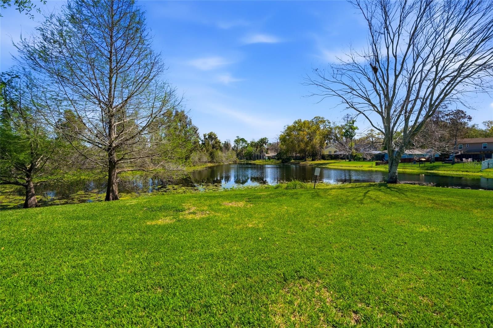 Pond View From Lanai