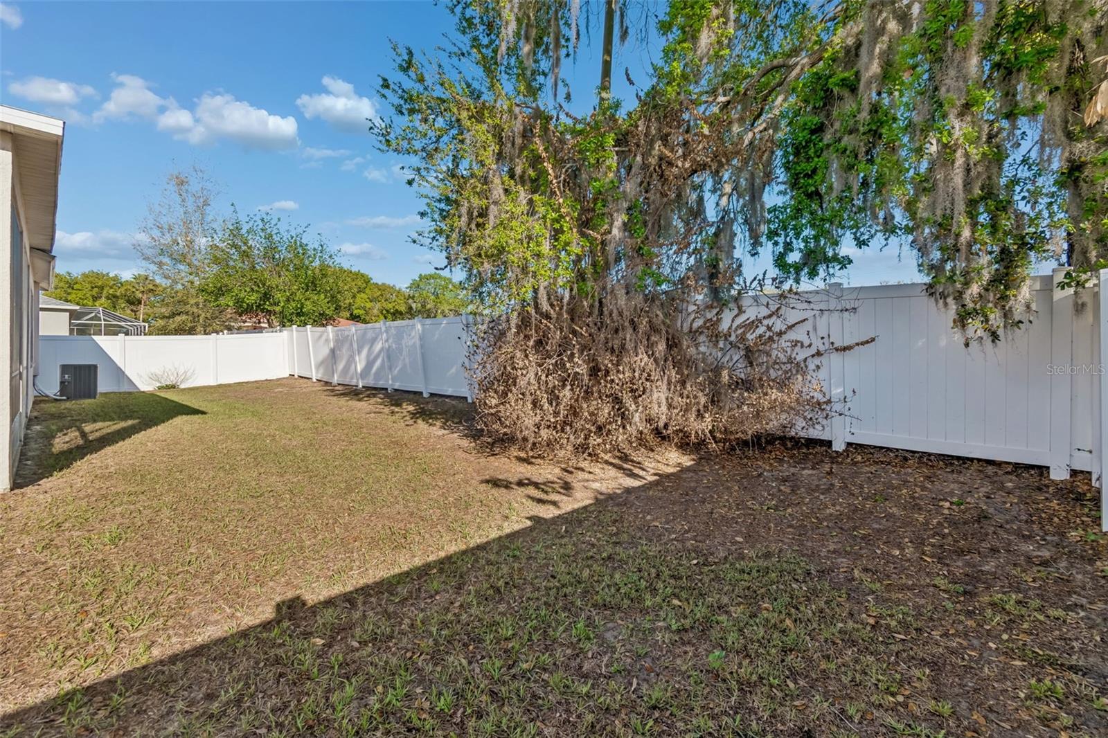 Plenty of room to play, fully fenced!