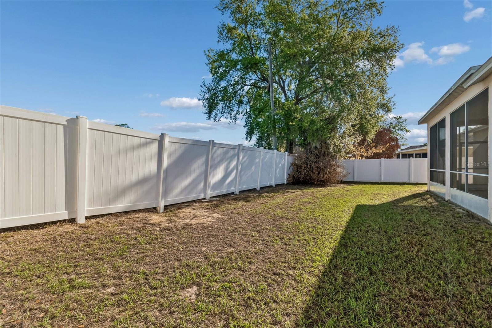 Plenty of room to play, fully fenced!