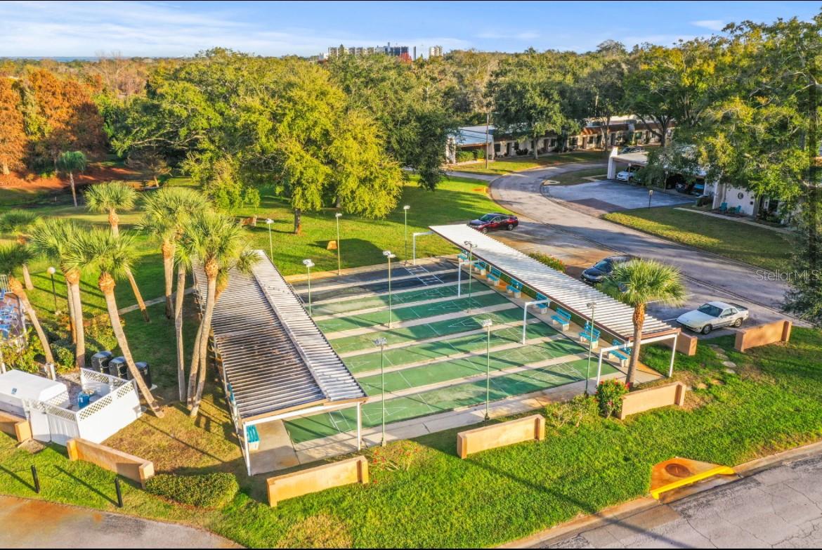 Shuffleboard Courts