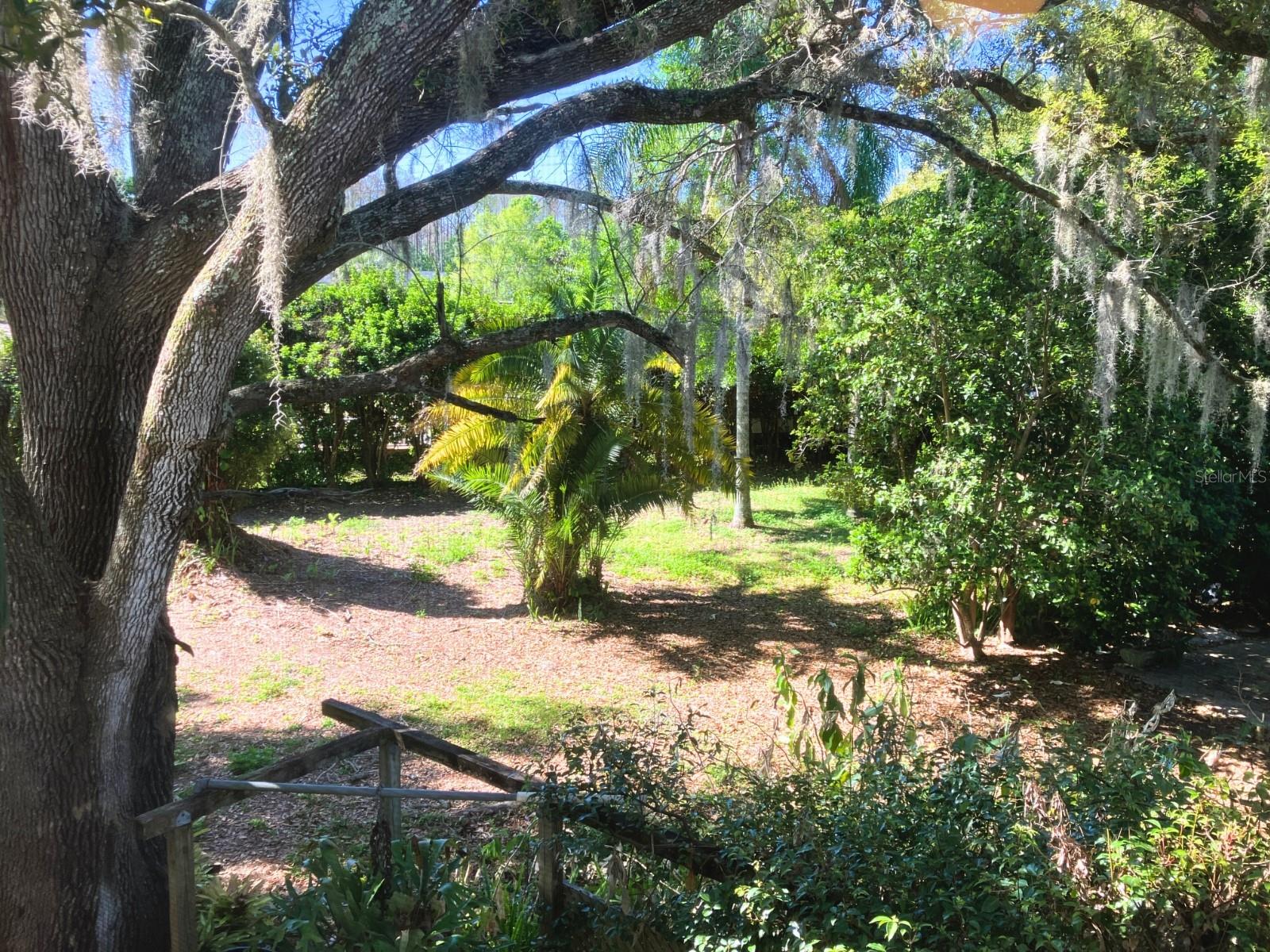 2nd floor view of west side garden