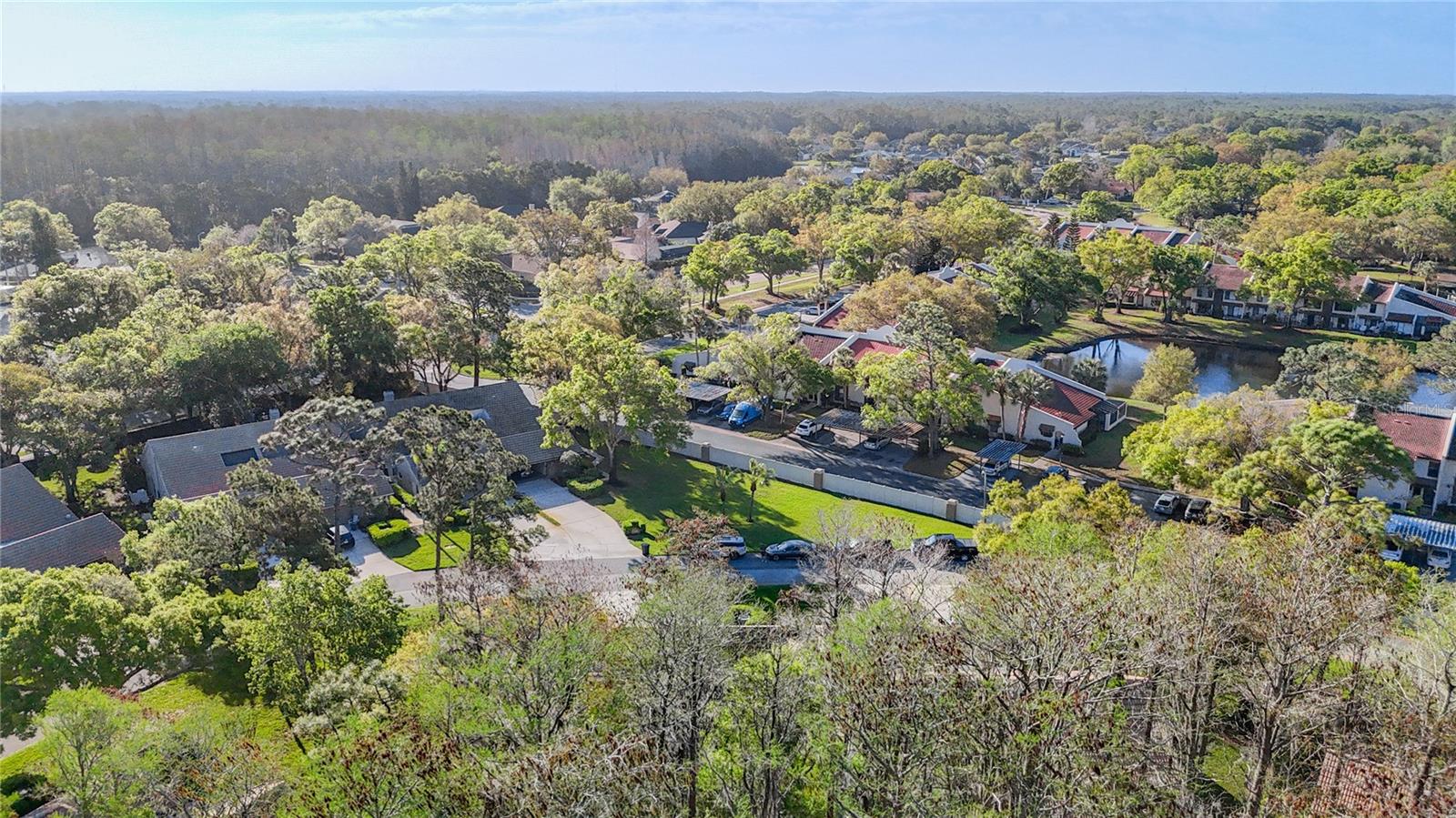 Ariel view of Wescott