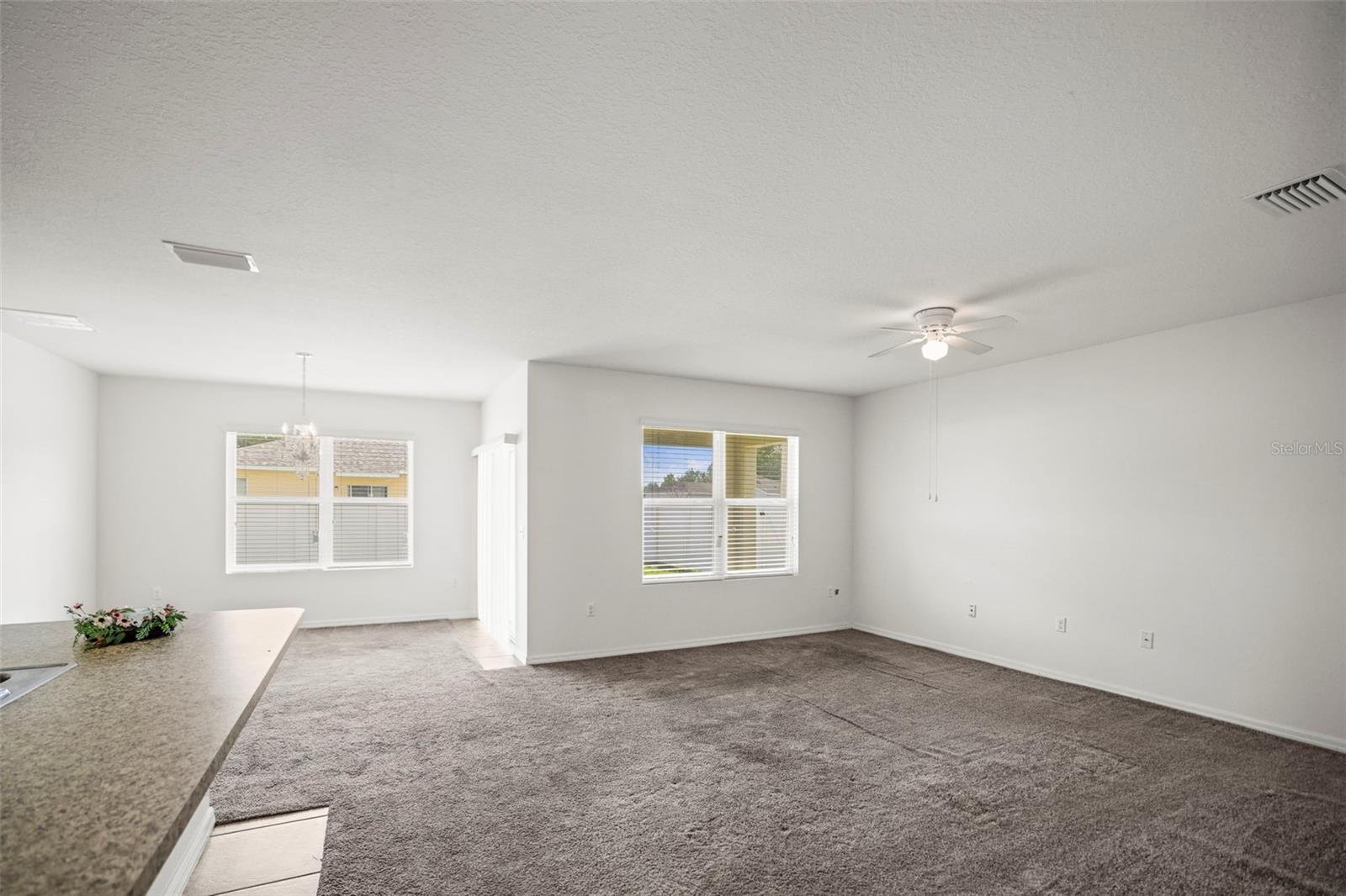 Living Room/Dining Room