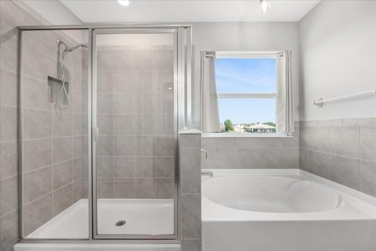 Primary Shower and Tub