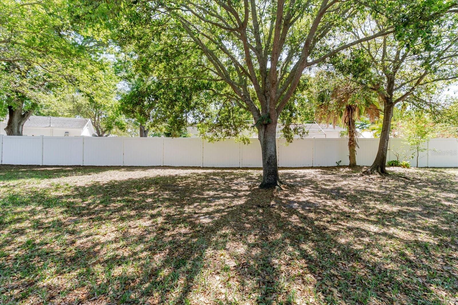 Shady Yard Behind the Townhouse