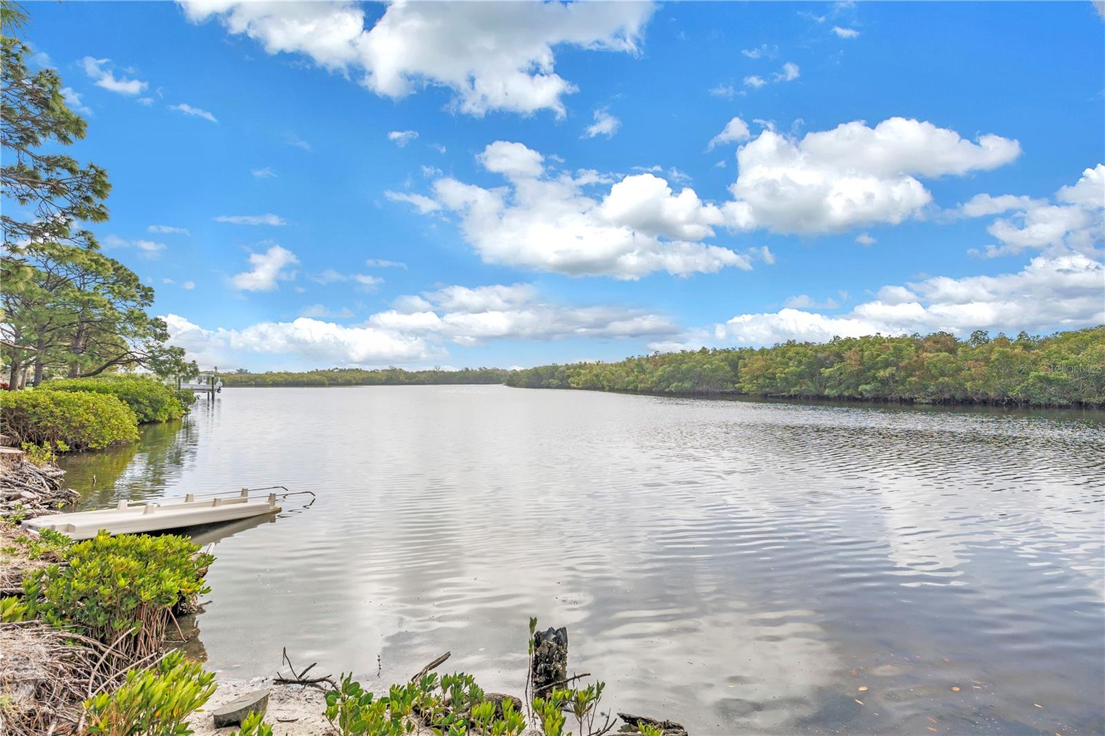 Kayak Launch and Paddlers are off to pristine water with Manatee, Dolphin and a menagerie of Fish