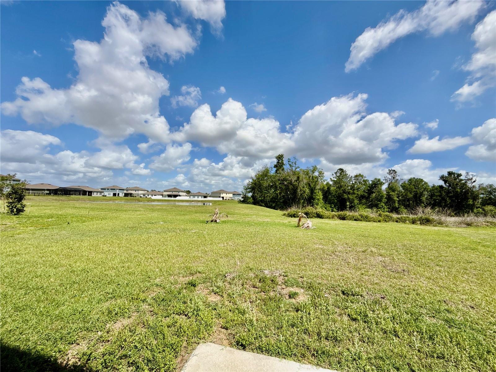 BACKYARD/ POND/ CONSERVATION