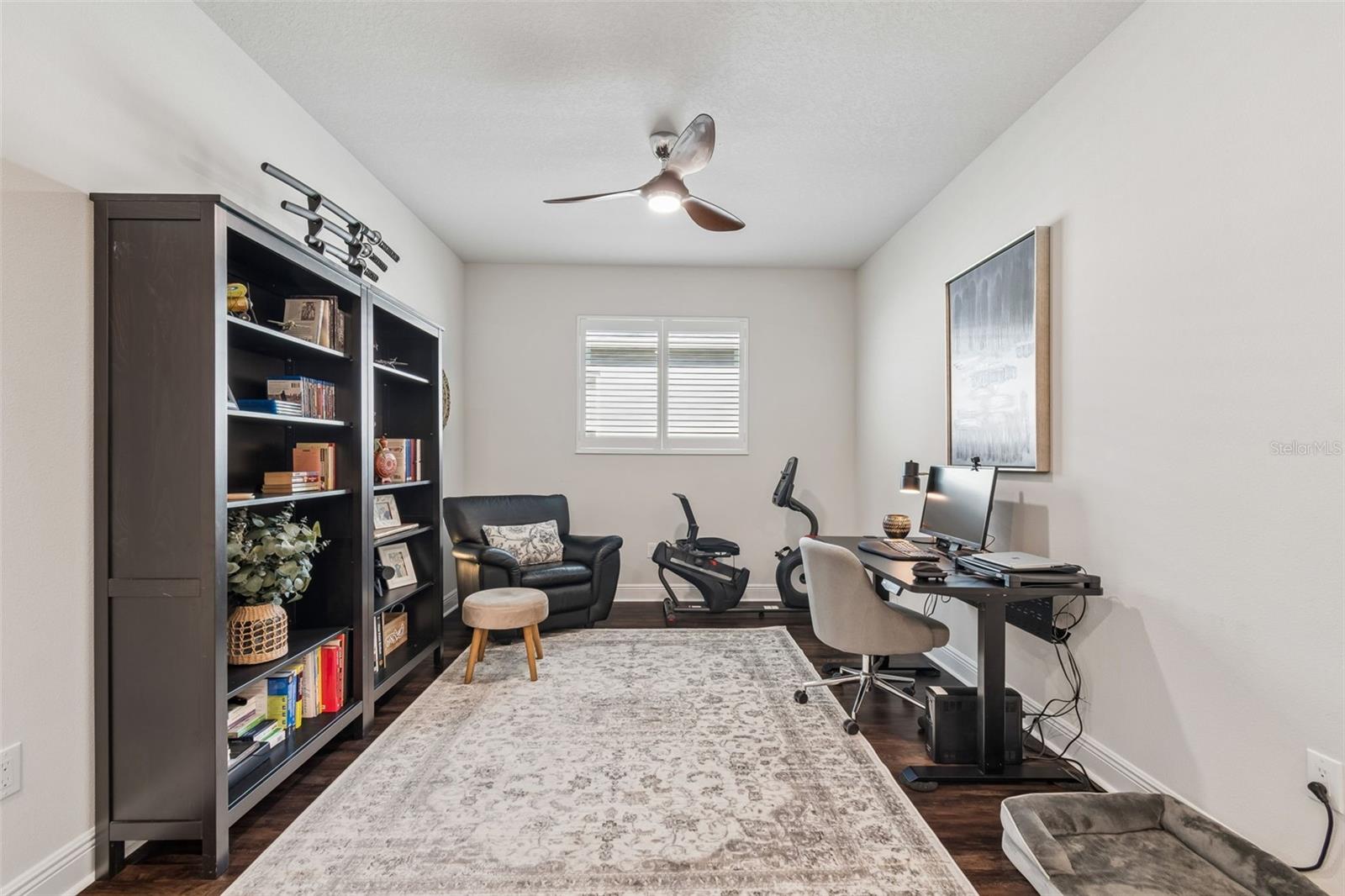 Flex Space ideal for home office