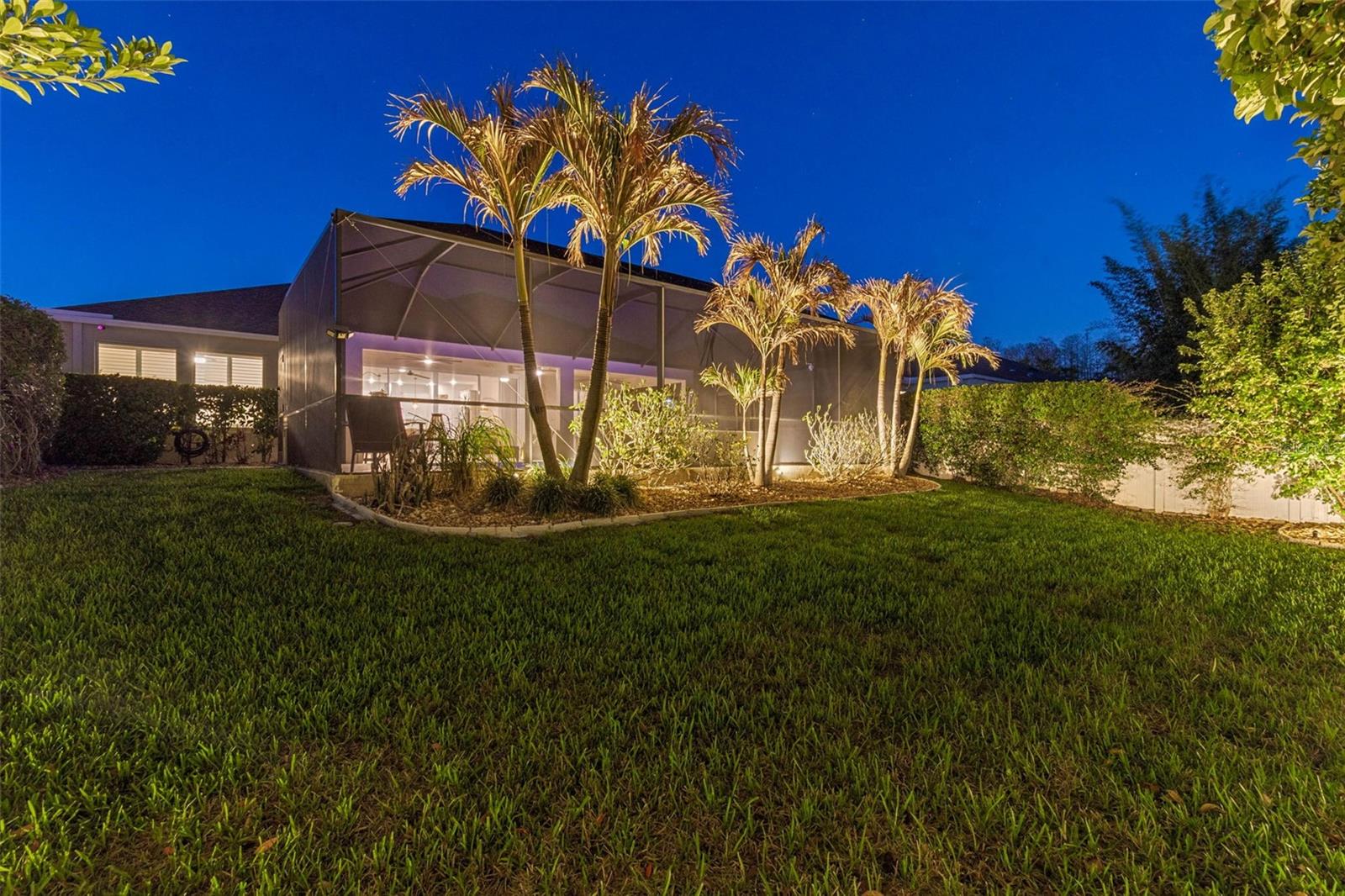 Beautiful landscape lighting