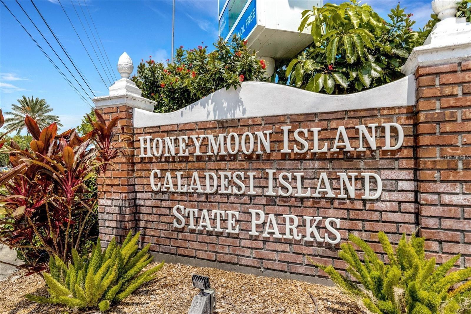 Honeymoon Island is just a few short miles away~