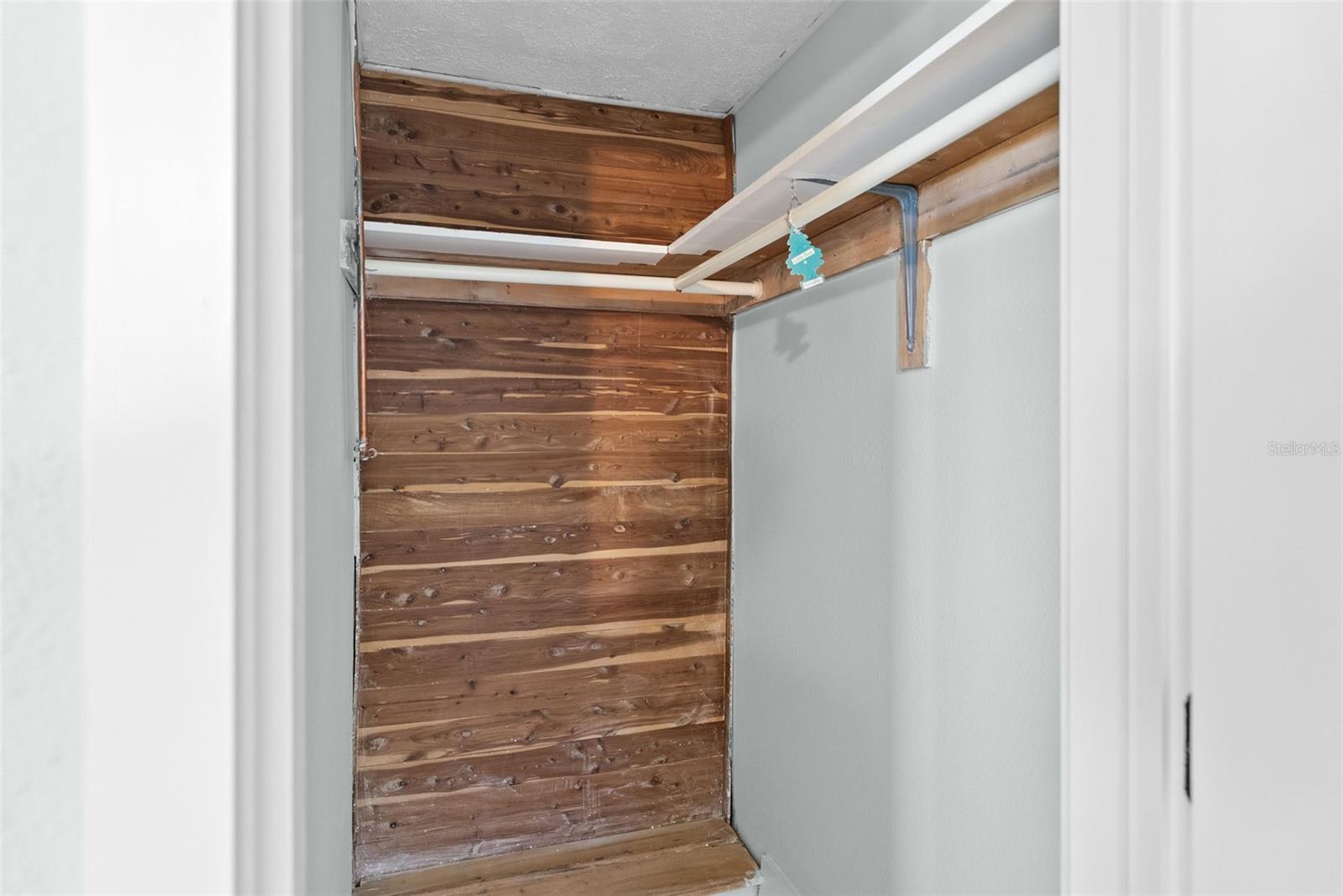 Primary Walk-in Closet with Cedar Planking