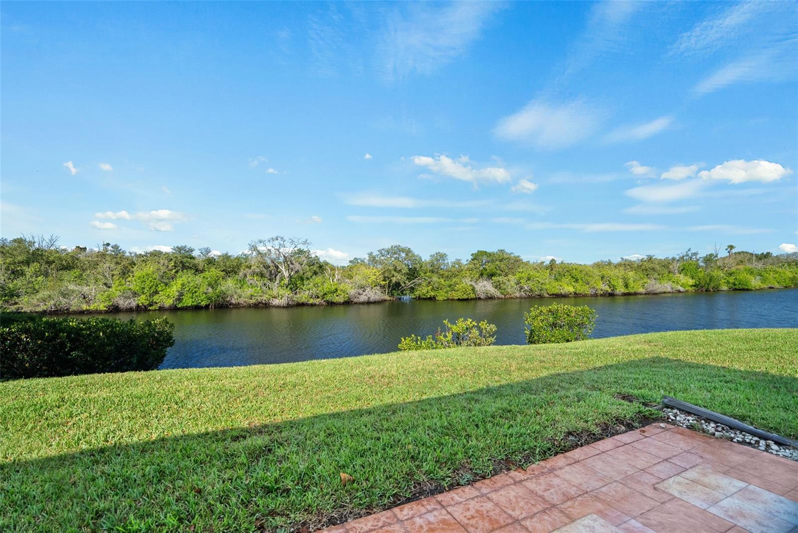 View of Preserve/Mangroves from Back Patio