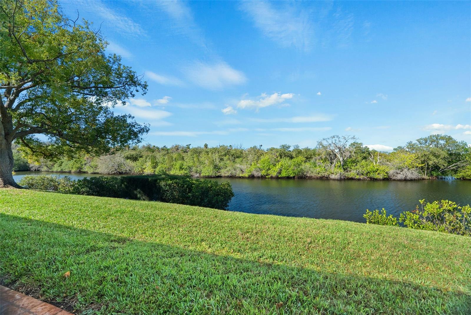 View from Back Patio