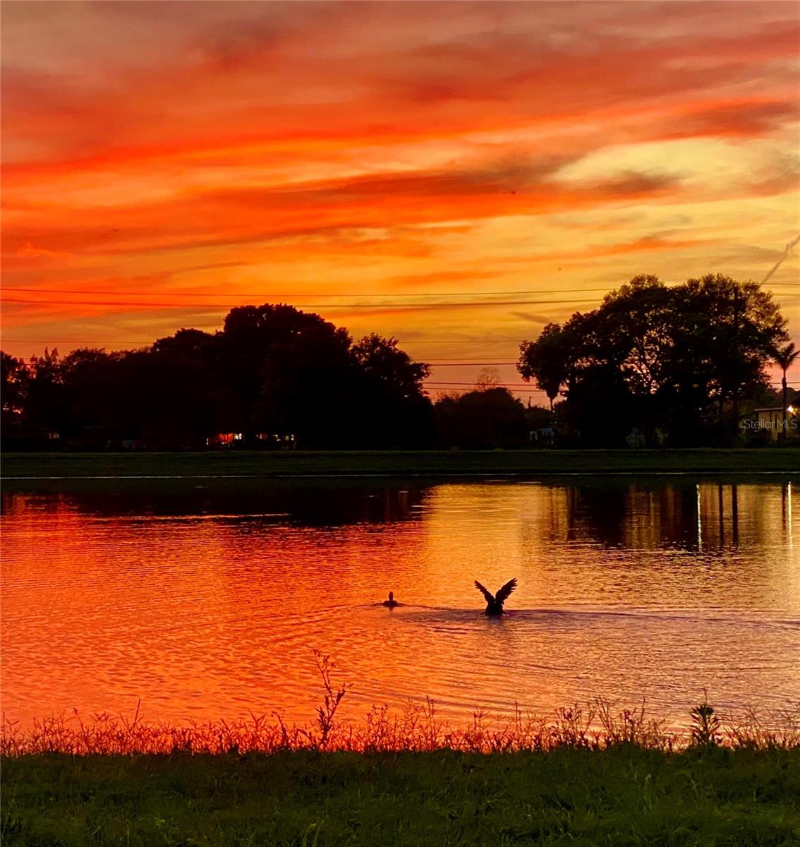 Sunset views from patio provided by seller.