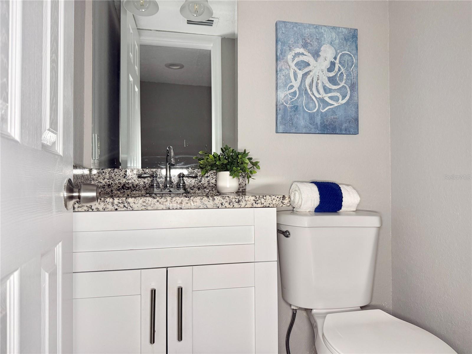 Downstairs Half Bath