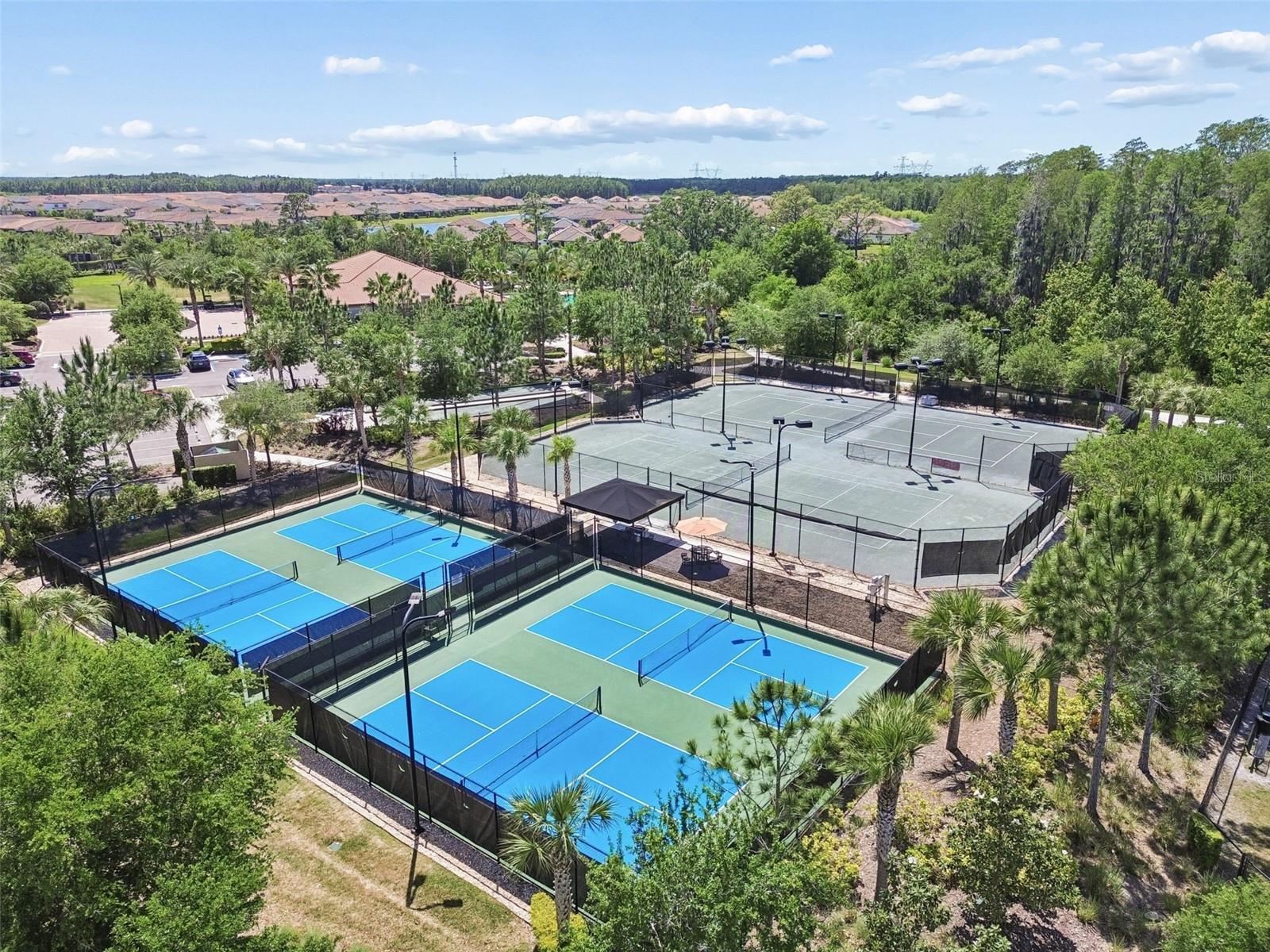 Pickleball and Clay tennis courts- with lights for evening play year round. Beginner? Join a community class!