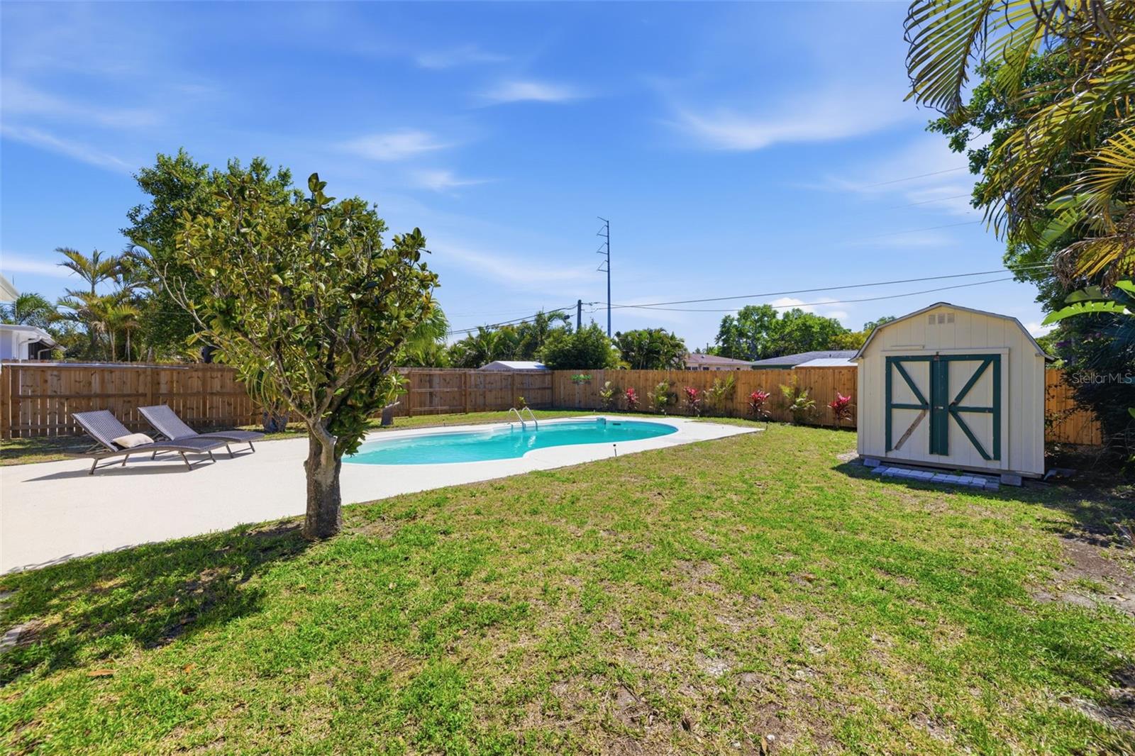 Spacious backyard featuring an in-ground pool and storage shed.