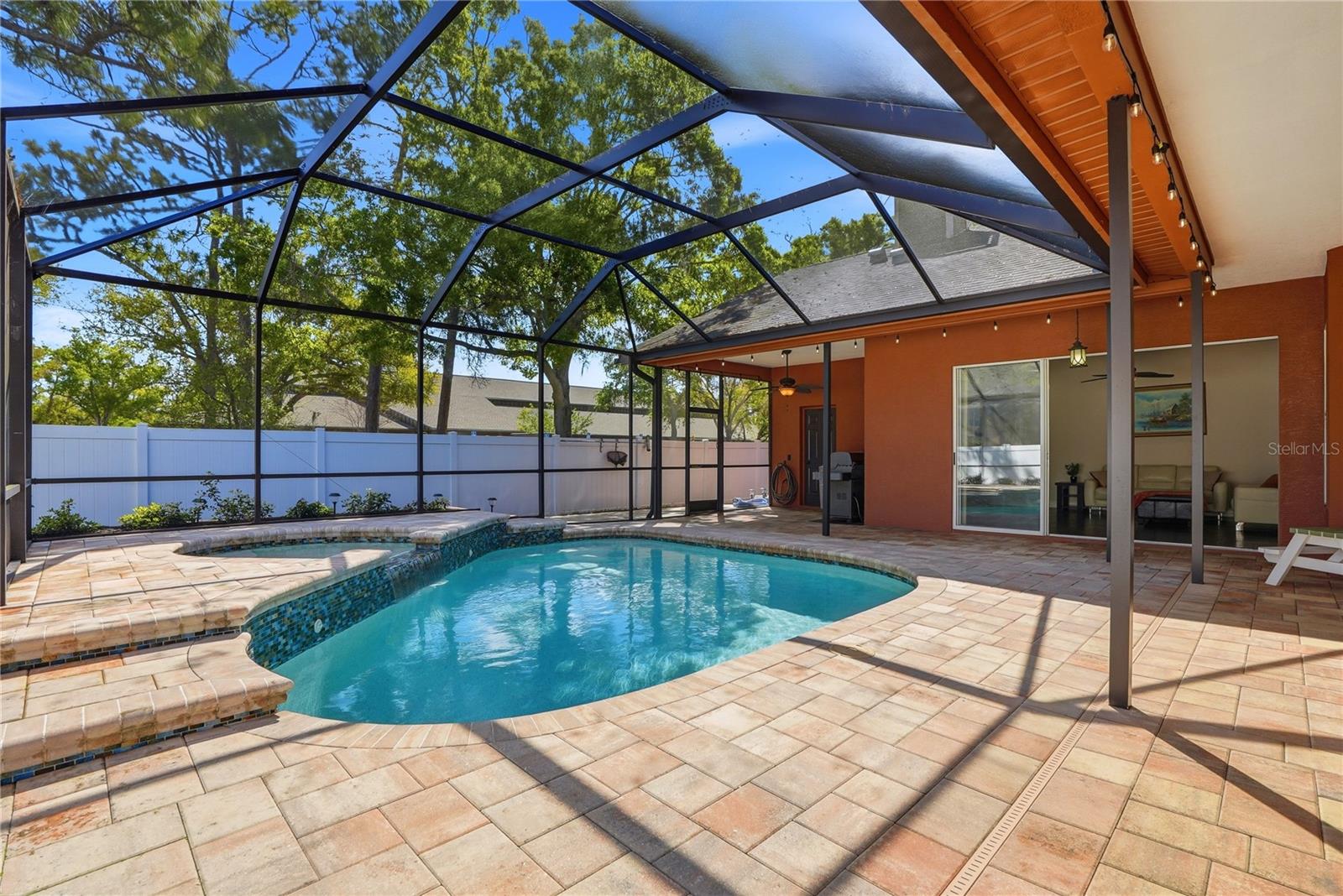 Pool with elevated spa deck
