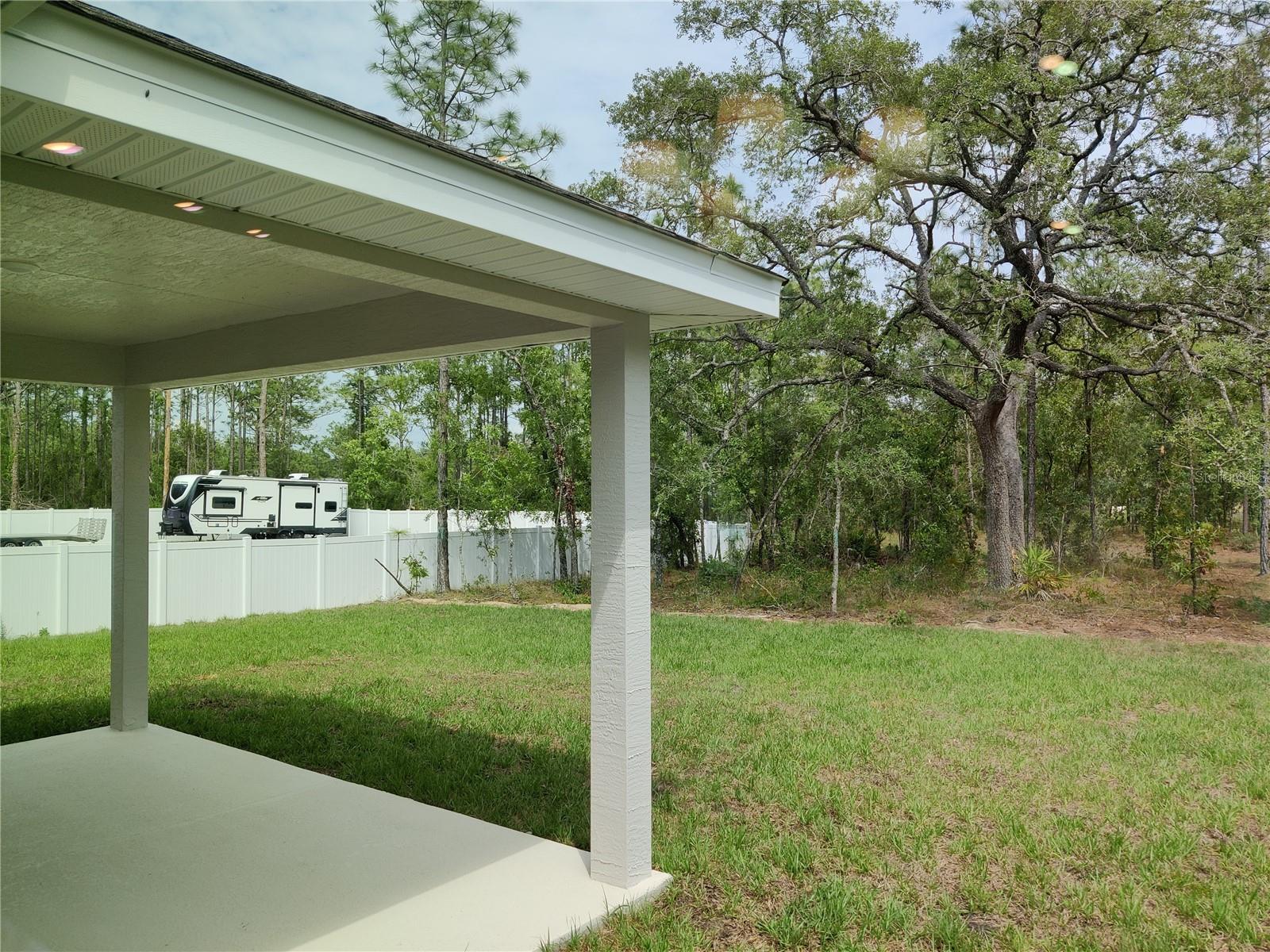 Back yard