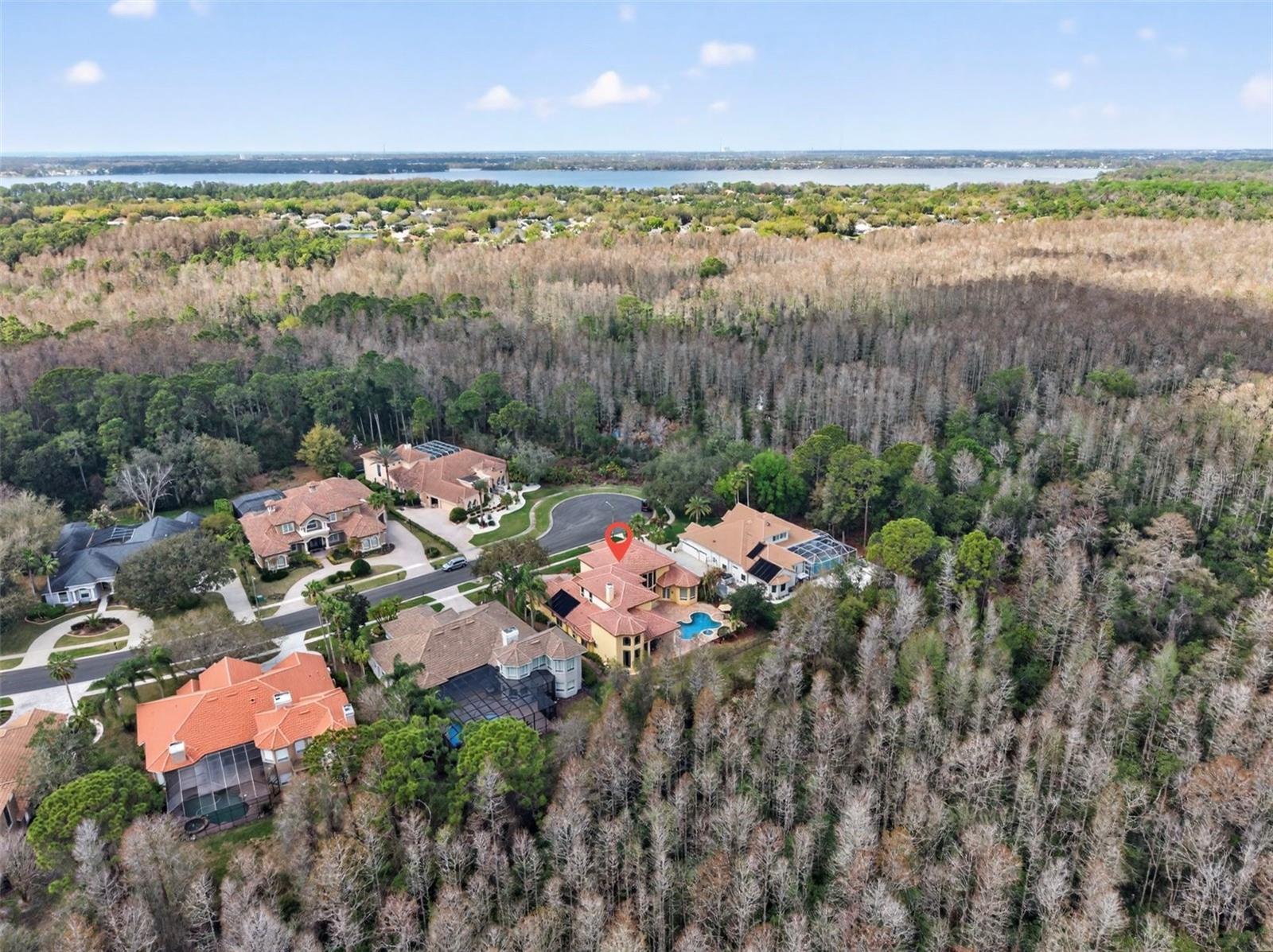 Aerial views of neighborhood