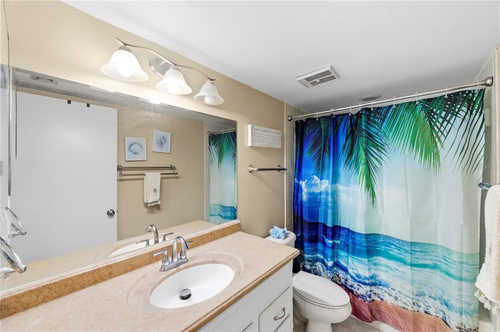 Guest bathroom